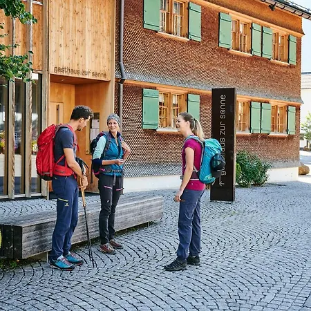 Ferienwohnung Lerho Apartment Mellau